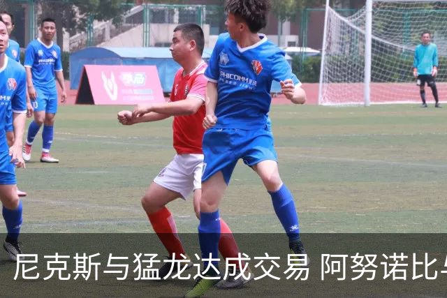 尼克斯与猛龙达成交易 阿努诺比与巴雷特互换